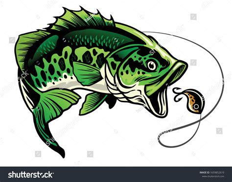 bass fish vector art|Bass Fish Images .
